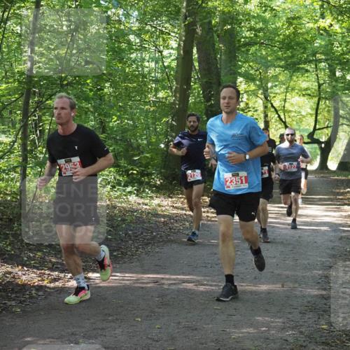 22.09.2024 - 32. Volkslauf durch das schöne Alstertal Miley Keyser http://msf.ph/oto/7136225 22.09.2024 10:41:41 Laufen 295, 2120, 2351 meine-sportfotos.de