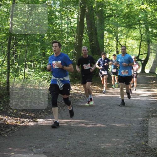 22.09.2024 - 32. Volkslauf durch das schöne Alstertal Miley Keyser http://msf.ph/oto/7136229 22.09.2024 10:41:40 Laufen 2953, 2351 meine-sportfotos.de