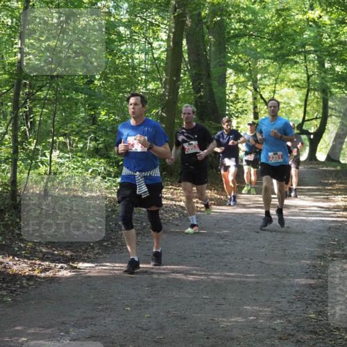 22.09.2024 - 32. Volkslauf durch das schöne Alstertal Miley Keyser http://msf.ph/oto/7136231 22.09.2024 10:41:39 Laufen 2953, 2351 meine-sportfotos.de