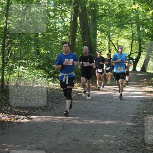 22.09.2024 - 32. Volkslauf durch das schöne Alstertal Miley Keyser http://msf.ph/oto/7136234 22.09.2024 10:41:39 Laufen  meine-sportfotos.de