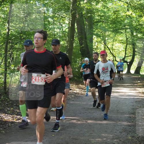 22.09.2024 - 32. Volkslauf durch das schöne Alstertal Miley Keyser http://msf.ph/oto/7136246 22.09.2024 10:41:34 Laufen 22, 2153, 9, 2375, 2962 meine-sportfotos.de