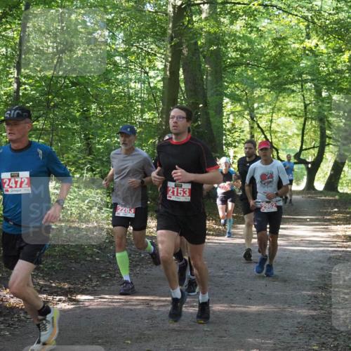 22.09.2024 - 32. Volkslauf durch das schöne Alstertal Miley Keyser http://msf.ph/oto/7136248 22.09.2024 10:41:33 Laufen 2472, 2283, 2153, 32, 2962 meine-sportfotos.de