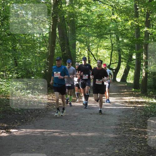 22.09.2024 - 32. Volkslauf durch das schöne Alstertal Miley Keyser http://msf.ph/oto/7136250 22.09.2024 10:41:32 Laufen 2472, 2281, 2153 meine-sportfotos.de