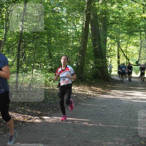 22.09.2024 - 32. Volkslauf durch das schöne Alstertal Miley Keyser http://msf.ph/oto/7136260 22.09.2024 10:41:25 Laufen 2179, 2123 meine-sportfotos.de
