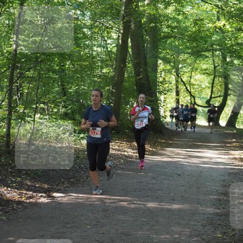 22.09.2024 - 32. Volkslauf durch das schöne Alstertal Miley Keyser http://msf.ph/oto/7136261 22.09.2024 10:41:24 Laufen 2179, 2122 meine-sportfotos.de
