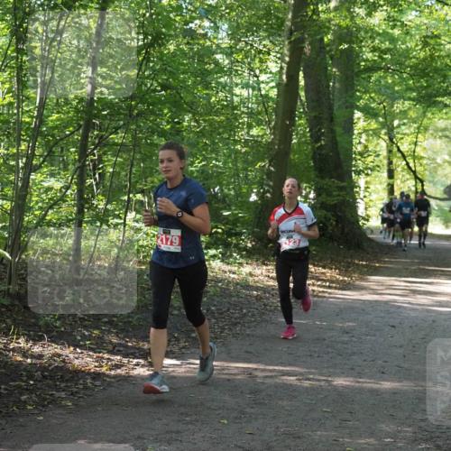 22.09.2024 - 32. Volkslauf durch das schöne Alstertal Miley Keyser http://msf.ph/oto/7136262 22.09.2024 10:41:25 Laufen 2179, 123 meine-sportfotos.de