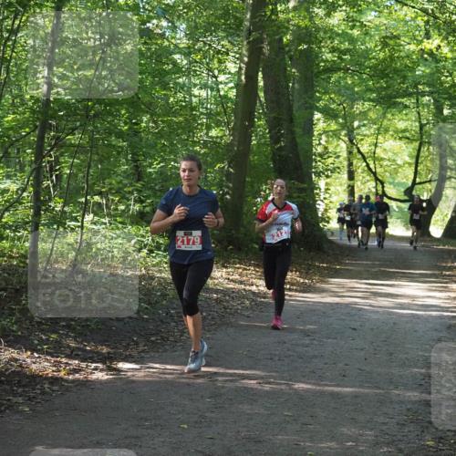 22.09.2024 - 32. Volkslauf durch das schöne Alstertal Miley Keyser http://msf.ph/oto/7136263 22.09.2024 10:41:24 Laufen 2179, 2123 meine-sportfotos.de