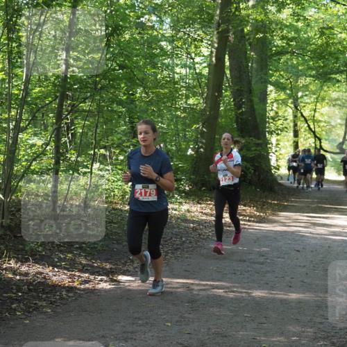 22.09.2024 - 32. Volkslauf durch das schöne Alstertal Miley Keyser http://msf.ph/oto/7136264 22.09.2024 10:41:25 Laufen 2179, 2123 meine-sportfotos.de