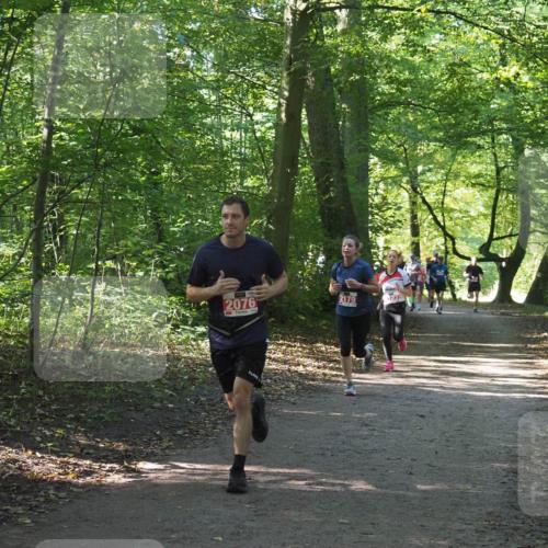 22.09.2024 - 32. Volkslauf durch das schöne Alstertal Miley Keyser http://msf.ph/oto/7136265 22.09.2024 10:41:23 Laufen 2076, 2179, 23 meine-sportfotos.de
