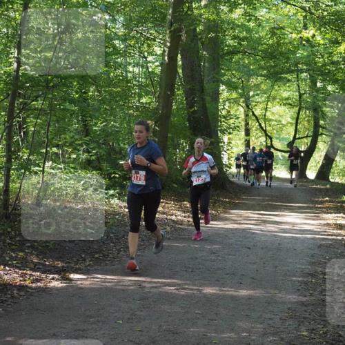 22.09.2024 - 32. Volkslauf durch das schöne Alstertal Miley Keyser http://msf.ph/oto/7136266 22.09.2024 10:41:24 Laufen 2179 meine-sportfotos.de