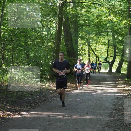 22.09.2024 - 32. Volkslauf durch das schöne Alstertal Miley Keyser http://msf.ph/oto/7136268 22.09.2024 10:41:22 Laufen 207 meine-sportfotos.de