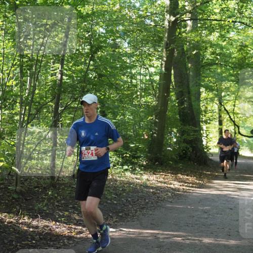 22.09.2024 - 32. Volkslauf durch das schöne Alstertal Miley Keyser http://msf.ph/oto/7136271 22.09.2024 10:41:18 Laufen 2521 meine-sportfotos.de