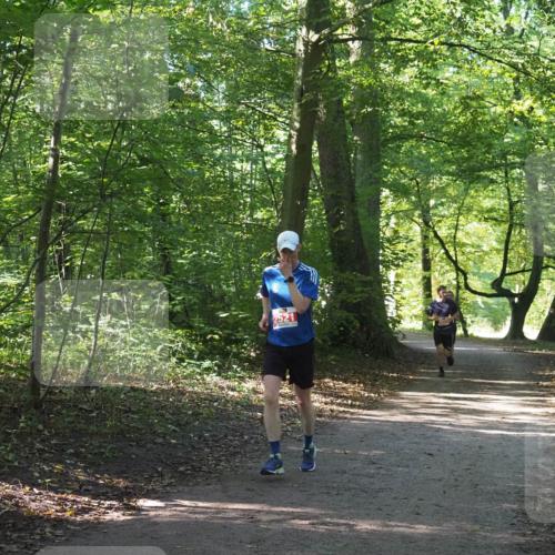 22.09.2024 - 32. Volkslauf durch das schöne Alstertal Miley Keyser http://msf.ph/oto/7136274 22.09.2024 10:41:17 Laufen 2521 meine-sportfotos.de