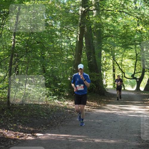 22.09.2024 - 32. Volkslauf durch das schöne Alstertal Miley Keyser http://msf.ph/oto/7136276 22.09.2024 10:41:17 Laufen 2521 meine-sportfotos.de