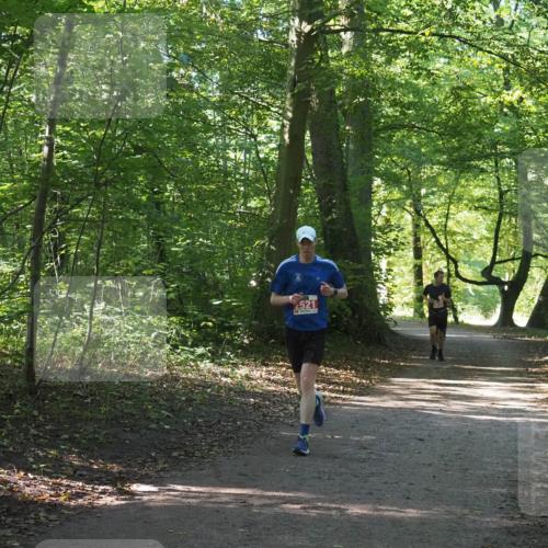 22.09.2024 - 32. Volkslauf durch das schöne Alstertal Miley Keyser http://msf.ph/oto/7136278 22.09.2024 10:41:17 Laufen 2521 meine-sportfotos.de