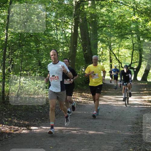 22.09.2024 - 32. Volkslauf durch das schöne Alstertal Miley Keyser http://msf.ph/oto/7136286 22.09.2024 10:41:12 Laufen 2254, 2360, 2362 meine-sportfotos.de