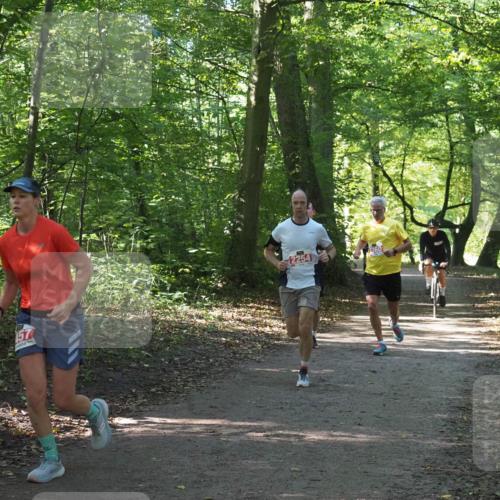22.09.2024 - 32. Volkslauf durch das schöne Alstertal Miley Keyser http://msf.ph/oto/7136287 22.09.2024 10:41:11 Laufen 157, 2254, 360 meine-sportfotos.de