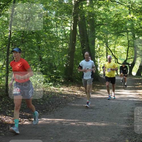 22.09.2024 - 32. Volkslauf durch das schöne Alstertal Miley Keyser http://msf.ph/oto/7136288 22.09.2024 10:41:11 Laufen 457, 2360 meine-sportfotos.de