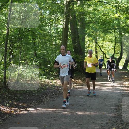 22.09.2024 - 32. Volkslauf durch das schöne Alstertal Miley Keyser http://msf.ph/oto/7136290 22.09.2024 10:41:11 Laufen 2254, 2360 meine-sportfotos.de