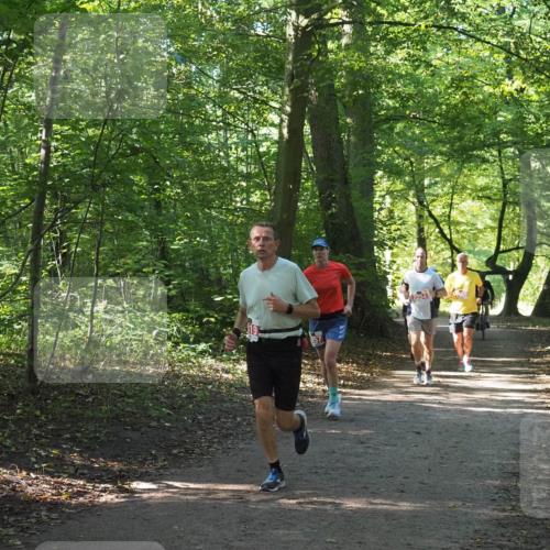 22.09.2024 - 32. Volkslauf durch das schöne Alstertal Miley Keyser http://msf.ph/oto/7136293 22.09.2024 10:41:09 Laufen 2254 meine-sportfotos.de