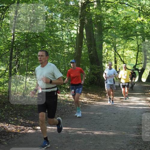 22.09.2024 - 32. Volkslauf durch das schöne Alstertal Miley Keyser http://msf.ph/oto/7136294 22.09.2024 10:41:10 Laufen  meine-sportfotos.de