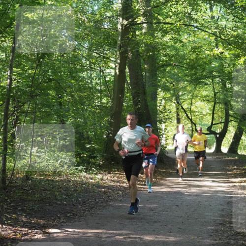 22.09.2024 - 32. Volkslauf durch das schöne Alstertal Miley Keyser http://msf.ph/oto/7136298 22.09.2024 10:41:08 Laufen  meine-sportfotos.de