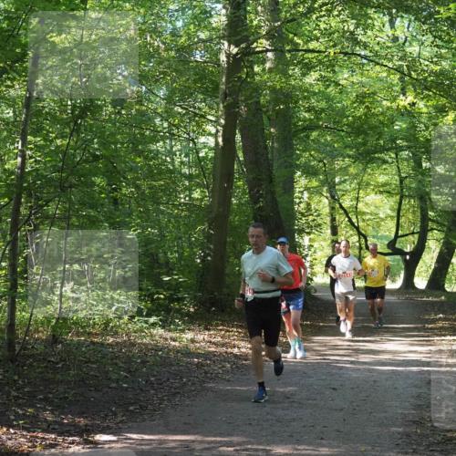 22.09.2024 - 32. Volkslauf durch das schöne Alstertal Miley Keyser http://msf.ph/oto/7136299 22.09.2024 10:41:08 Laufen 23601 meine-sportfotos.de