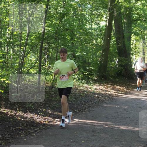 22.09.2024 - 32. Volkslauf durch das schöne Alstertal Miley Keyser http://msf.ph/oto/7136300 22.09.2024 10:41:06 Laufen 2389 meine-sportfotos.de