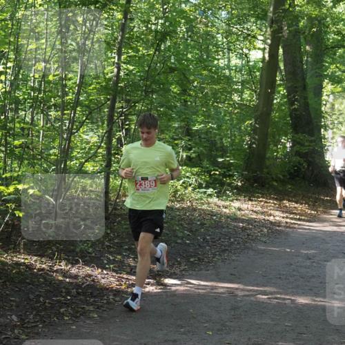 22.09.2024 - 32. Volkslauf durch das schöne Alstertal Miley Keyser http://msf.ph/oto/7136302 22.09.2024 10:41:06 Laufen 2389 meine-sportfotos.de