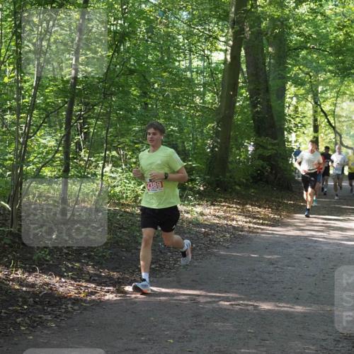 22.09.2024 - 32. Volkslauf durch das schöne Alstertal Miley Keyser http://msf.ph/oto/7136303 22.09.2024 10:41:05 Laufen 2389 meine-sportfotos.de