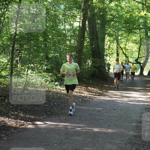 22.09.2024 - 32. Volkslauf durch das schöne Alstertal Miley Keyser http://msf.ph/oto/7136305 22.09.2024 10:41:05 Laufen 2385 meine-sportfotos.de