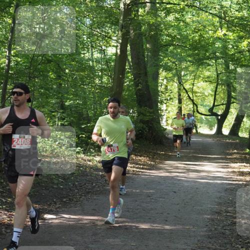 22.09.2024 - 32. Volkslauf durch das schöne Alstertal Miley Keyser http://msf.ph/oto/7136309 22.09.2024 10:41:02 Laufen 2408, 2476 meine-sportfotos.de