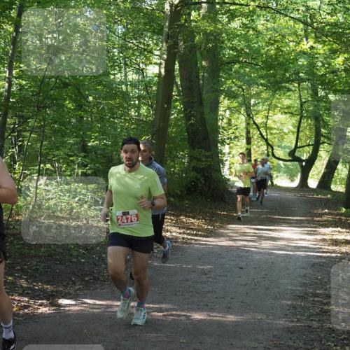 22.09.2024 - 32. Volkslauf durch das schöne Alstertal Miley Keyser http://msf.ph/oto/7136311 22.09.2024 10:41:02 Laufen 2408, 2476 meine-sportfotos.de