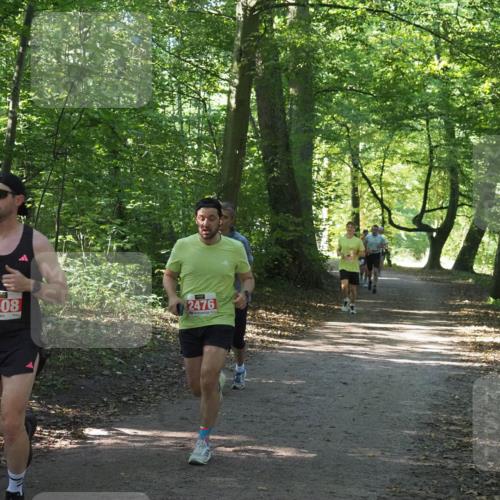 22.09.2024 - 32. Volkslauf durch das schöne Alstertal Miley Keyser http://msf.ph/oto/7136312 22.09.2024 10:41:02 Laufen 2408, 2476 meine-sportfotos.de