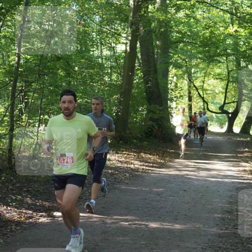 22.09.2024 - 32. Volkslauf durch das schöne Alstertal Miley Keyser http://msf.ph/oto/7136313 22.09.2024 10:41:02 Laufen 2476 meine-sportfotos.de