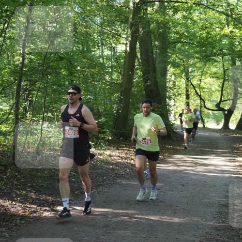 22.09.2024 - 32. Volkslauf durch das schöne Alstertal Miley Keyser http://msf.ph/oto/7136314 22.09.2024 10:41:01 Laufen 2408, 2476 meine-sportfotos.de