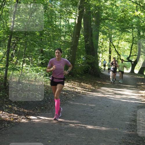22.09.2024 - 32. Volkslauf durch das schöne Alstertal Miley Keyser http://msf.ph/oto/7136323 22.09.2024 10:40:56 Laufen  meine-sportfotos.de