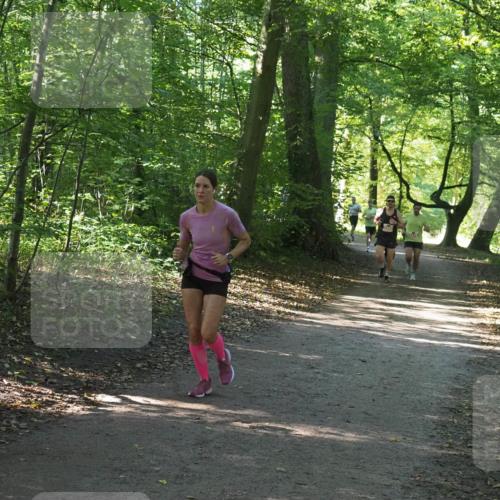22.09.2024 - 32. Volkslauf durch das schöne Alstertal Miley Keyser http://msf.ph/oto/7136326 22.09.2024 10:40:56 Laufen 2472 meine-sportfotos.de