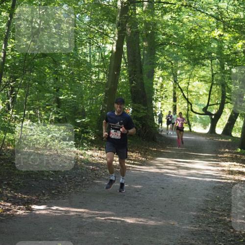 22.09.2024 - 32. Volkslauf durch das schöne Alstertal Miley Keyser http://msf.ph/oto/7136328 22.09.2024 10:40:50 Laufen  meine-sportfotos.de