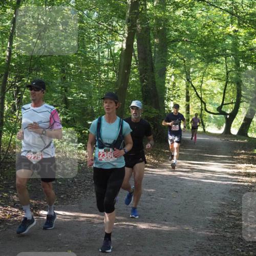 22.09.2024 - 32. Volkslauf durch das schöne Alstertal Miley Keyser http://msf.ph/oto/7136333 22.09.2024 10:40:49 Laufen 2225, 236, 2529 meine-sportfotos.de