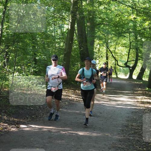 22.09.2024 - 32. Volkslauf durch das schöne Alstertal Miley Keyser http://msf.ph/oto/7136335 22.09.2024 10:40:48 Laufen 73, 2366 meine-sportfotos.de