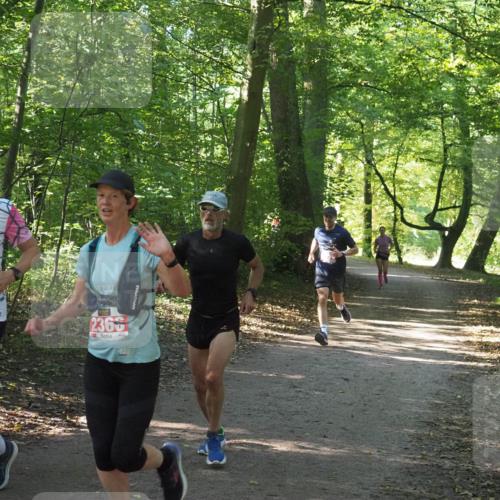 22.09.2024 - 32. Volkslauf durch das schöne Alstertal Miley Keyser http://msf.ph/oto/7136336 22.09.2024 10:40:49 Laufen 2366, 425 meine-sportfotos.de