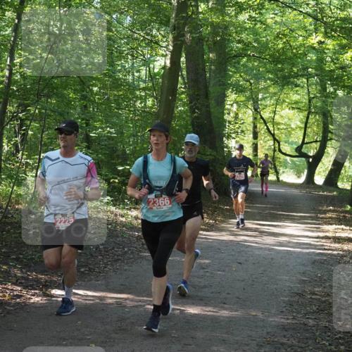 22.09.2024 - 32. Volkslauf durch das schöne Alstertal Miley Keyser http://msf.ph/oto/7136337 22.09.2024 10:40:49 Laufen 2225, 2366, 2529 meine-sportfotos.de