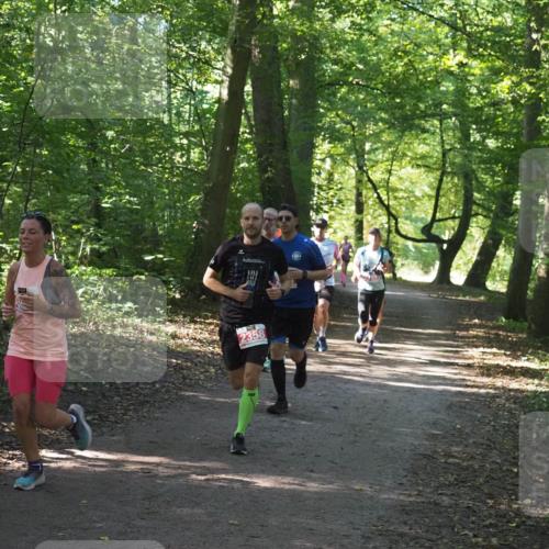22.09.2024 - 32. Volkslauf durch das schöne Alstertal Miley Keyser http://msf.ph/oto/7136342 22.09.2024 10:40:45 Laufen 2358 meine-sportfotos.de