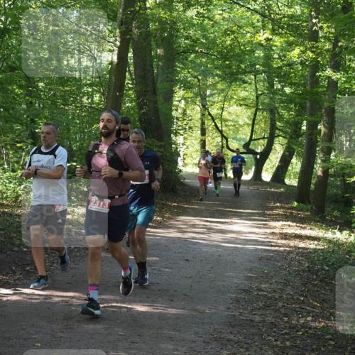 22.09.2024 - 32. Volkslauf durch das schöne Alstertal Miley Keyser http://msf.ph/oto/7136345 22.09.2024 10:40:39 Laufen 2313 meine-sportfotos.de