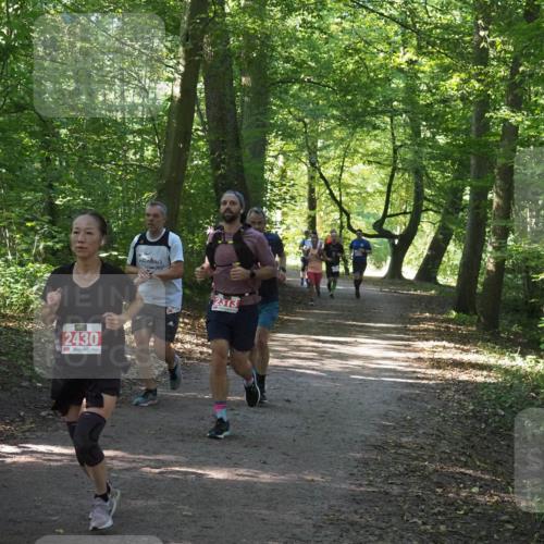 22.09.2024 - 32. Volkslauf durch das schöne Alstertal Miley Keyser http://msf.ph/oto/7136348 22.09.2024 10:40:38 Laufen 2430, 2313 meine-sportfotos.de