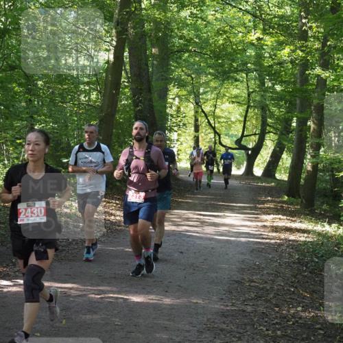 22.09.2024 - 32. Volkslauf durch das schöne Alstertal Miley Keyser http://msf.ph/oto/7136349 22.09.2024 10:40:38 Laufen 2430, 2313 meine-sportfotos.de