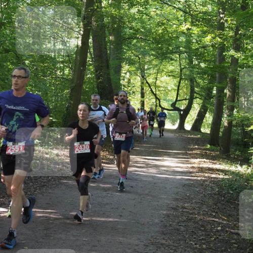 22.09.2024 - 32. Volkslauf durch das schöne Alstertal Miley Keyser http://msf.ph/oto/7136350 22.09.2024 10:40:38 Laufen 2551, 2430, 2313 meine-sportfotos.de