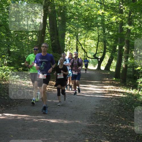 22.09.2024 - 32. Volkslauf durch das schöne Alstertal Miley Keyser http://msf.ph/oto/7136351 22.09.2024 10:40:37 Laufen 2551, 2430 meine-sportfotos.de