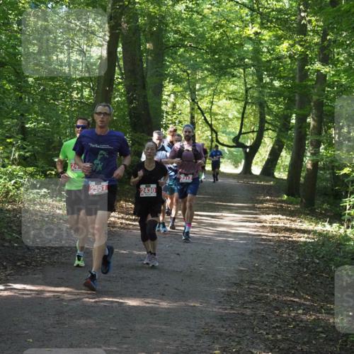22.09.2024 - 32. Volkslauf durch das schöne Alstertal Miley Keyser http://msf.ph/oto/7136352 22.09.2024 10:40:37 Laufen 24, 2551, 2430, 2313 meine-sportfotos.de
